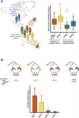 Some Good and Some Bad: Sand Fly Salivary Proteins in the Control of Leishmaniasis and in Autoimmunity